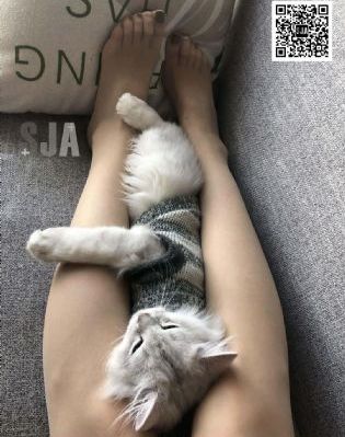 欧美人禽杂交性大片在线播放_1080P免费全集观看